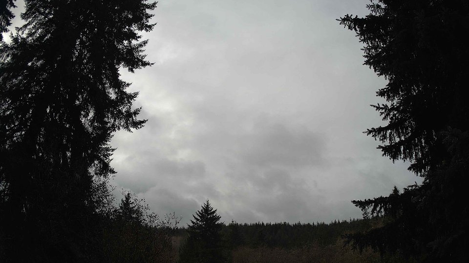 Pacific Northwest skyline timelapse frame from Nov 17th, 2025 at 11:00 AM