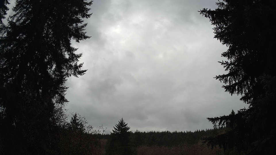 Pacific Northwest skyline timelapse frame from Nov 17th, 2025 at 11:15 AM