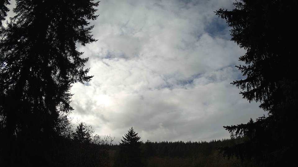 Pacific Northwest skyline timelapse frame from Nov 17th, 2025 at 11:45 AM