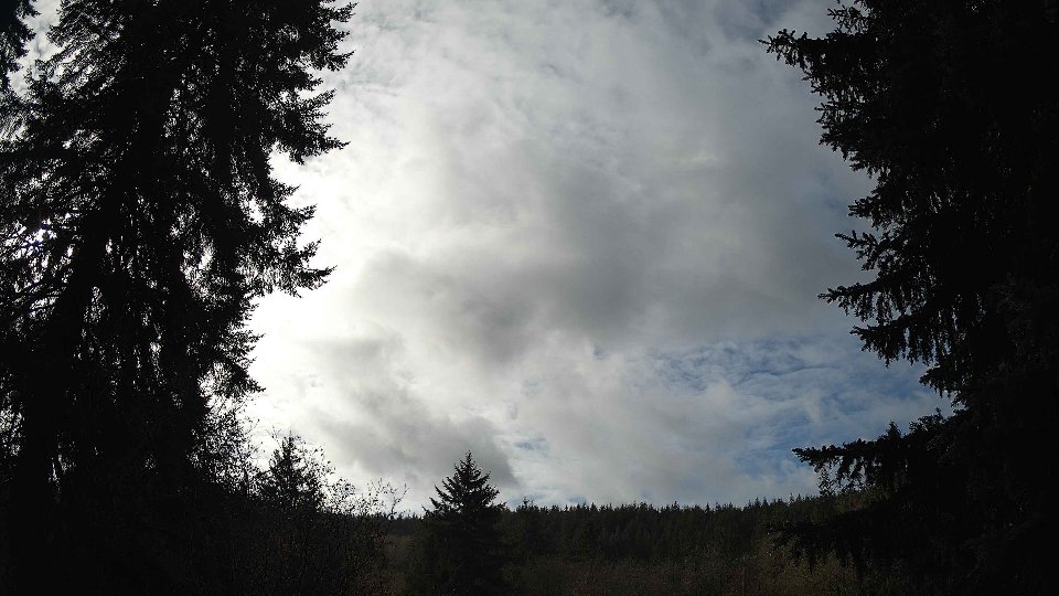 Pacific Northwest skyline timelapse frame from Nov 17th, 2025 at 12:00 PM