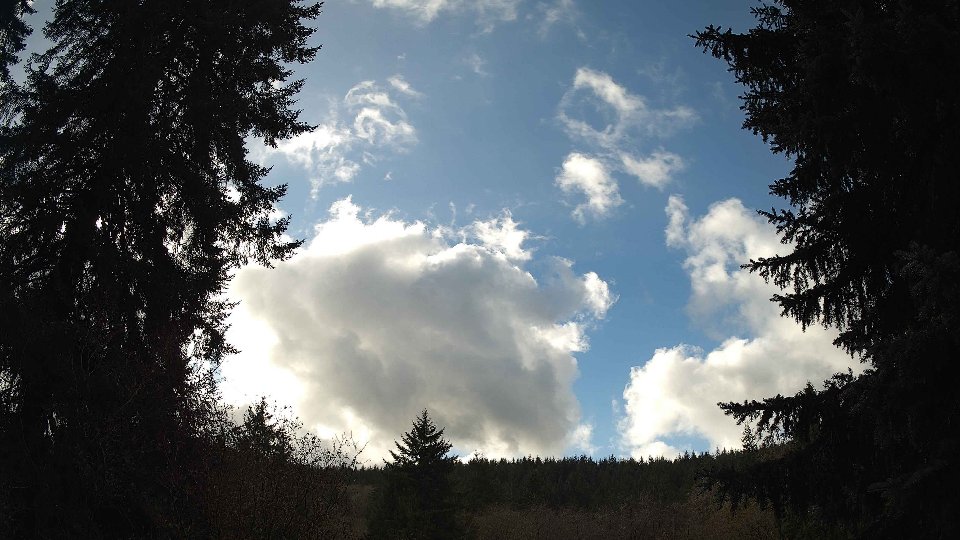 Pacific Northwest skyline timelapse frame from Nov 17th, 2025 at 12:30 PM
