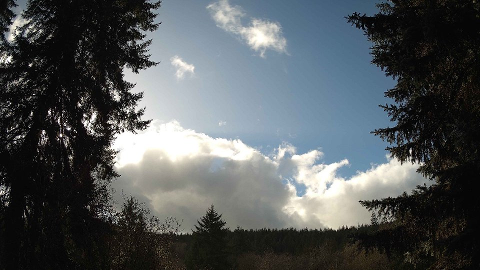 Pacific Northwest skyline timelapse frame from Nov 17th, 2025 at 12:45 PM