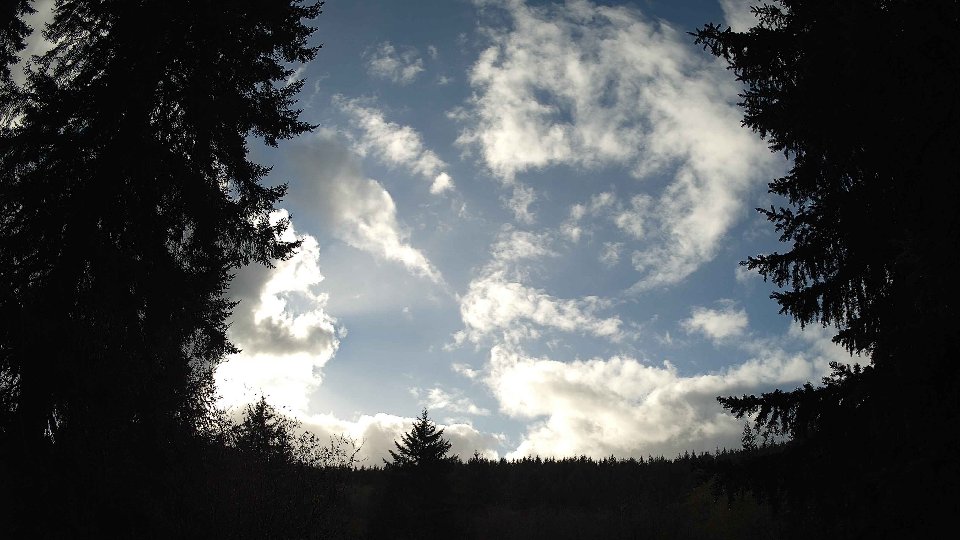 Pacific Northwest skyline timelapse frame from Nov 17th, 2025 at 1:30 PM