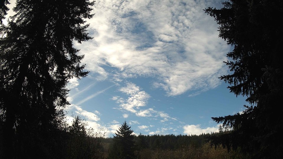 Pacific Northwest skyline timelapse frame from Nov 18th, 2025 at 11:00 AM