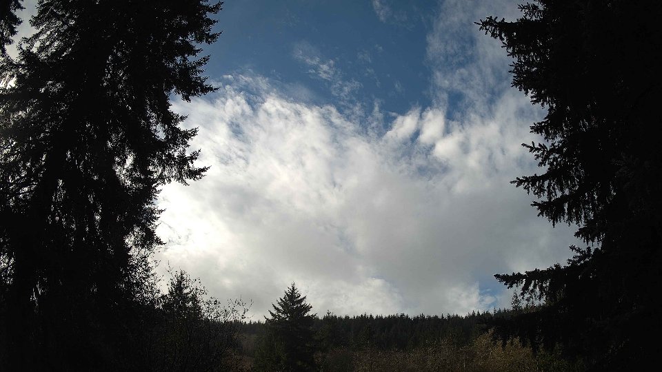 Pacific Northwest skyline timelapse frame from Nov 18th, 2025 at 11:15 AM