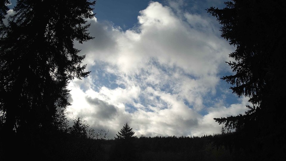 Pacific Northwest skyline timelapse frame from Nov 18th, 2025 at 12:30 PM