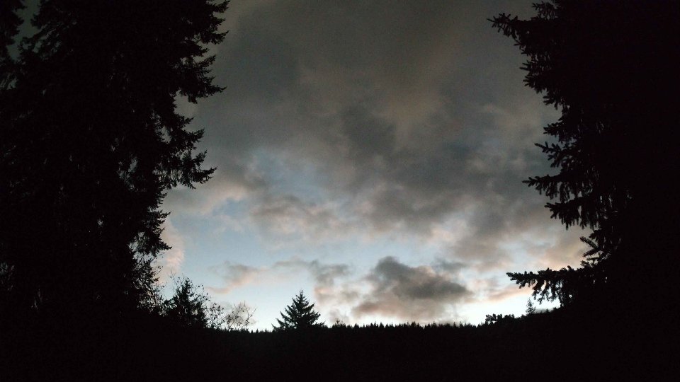 Pacific Northwest skyline timelapse frame from Nov 18th, 2025 at 5:15 PM