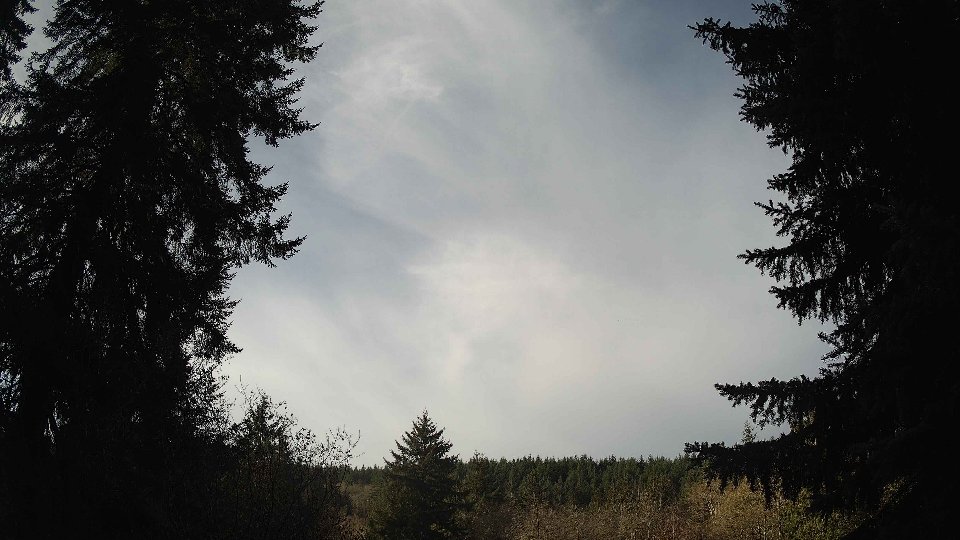 Pacific Northwest skyline timelapse on Nov 19th, 2025 at 9:30 AM