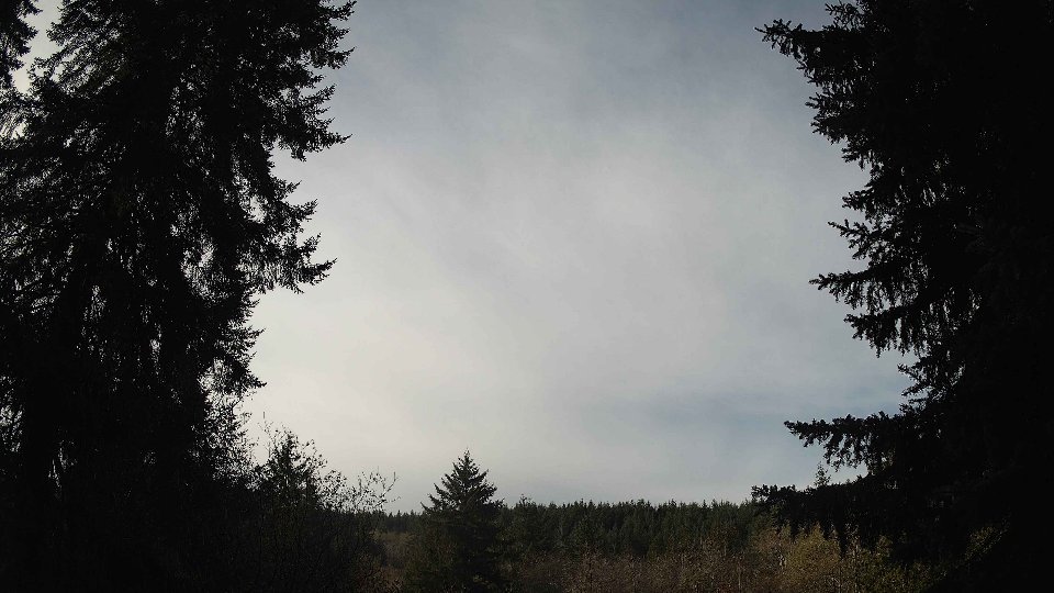 Pacific Northwest skyline timelapse on Nov 19th, 2025 at 10:00 AM