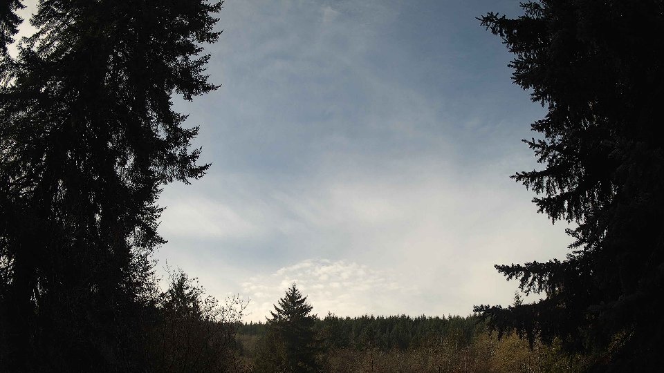 Pacific Northwest skyline timelapse on Nov 19th, 2025 at 10:30 AM