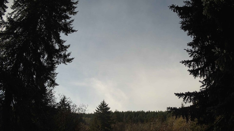 Pacific Northwest skyline timelapse on Nov 19th, 2025 at 11:00 AM