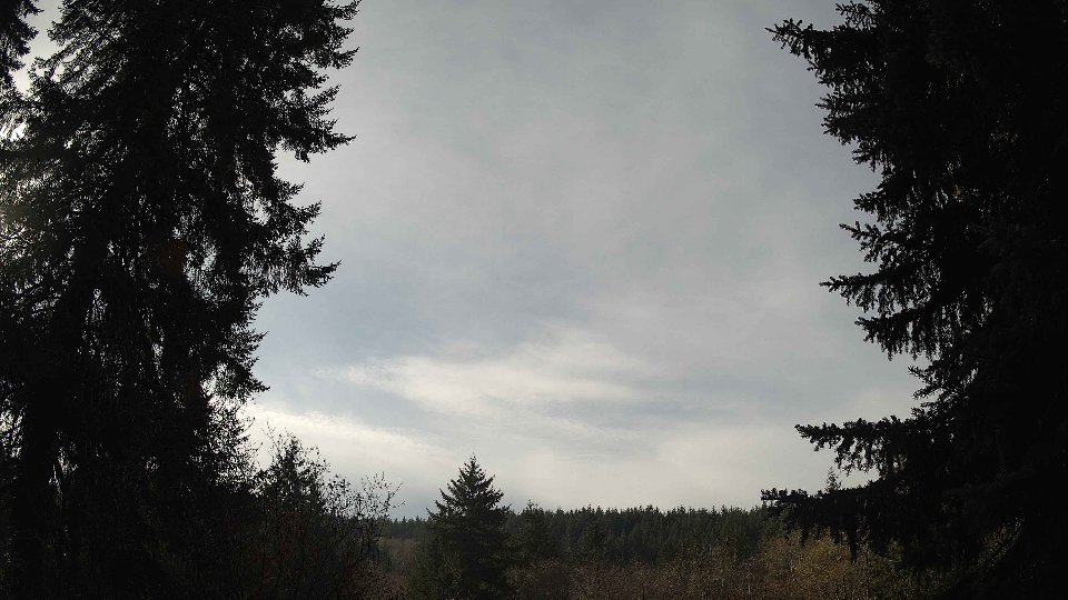 Pacific Northwest skyline timelapse on Nov 19th, 2025 at 11:30 AM