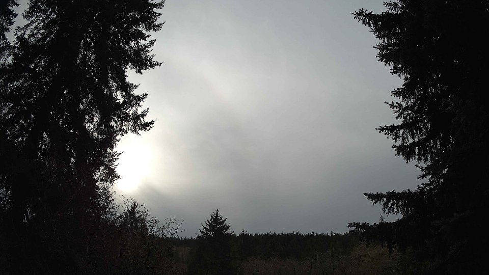 Pacific Northwest skyline timelapse on Nov 19th, 2025 at 1:45 PM