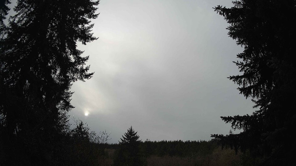 Pacific Northwest skyline timelapse on Nov 19th, 2025 at 2:00 PM