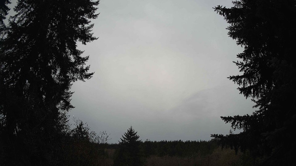 Pacific Northwest skyline timelapse on Nov 19th, 2025 at 3:00 PM