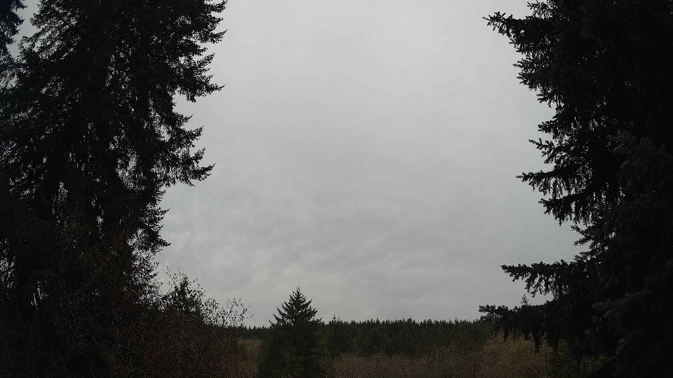 Pacific Northwest skyline timelapse on Nov 19th, 2025 at 3:15 PM