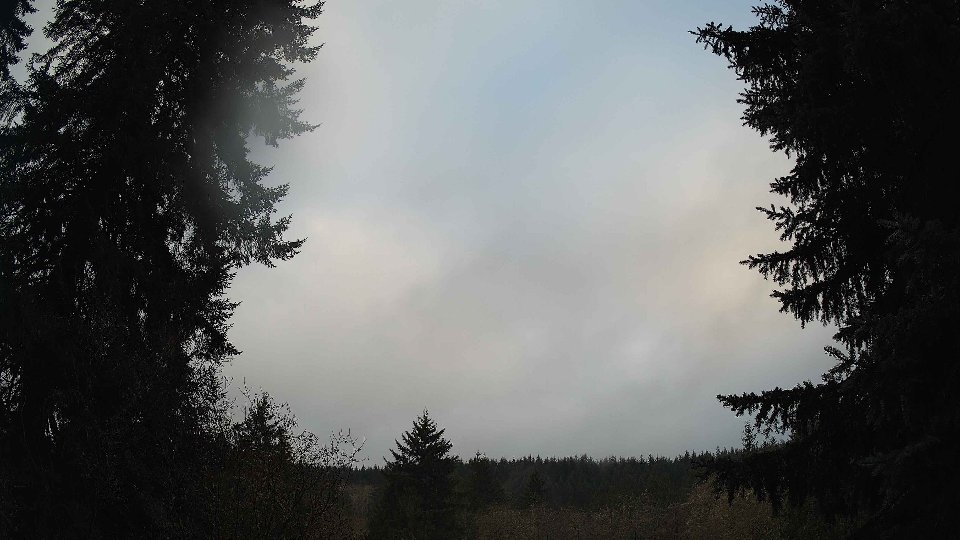 Pacific Northwest skyline timelapse frame from Nov 20th, 2025 at 8:00 AM