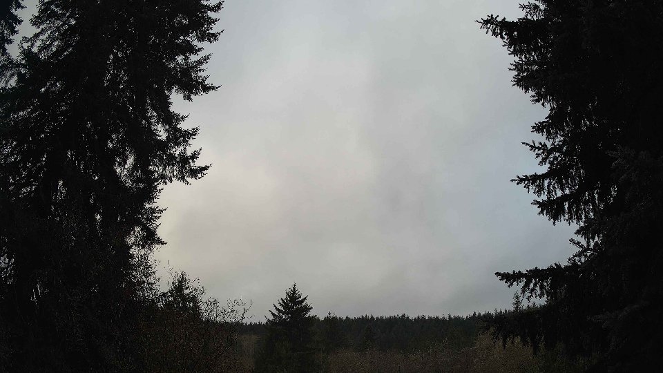 Pacific Northwest skyline timelapse frame from Nov 20th, 2025 at 8:30 AM