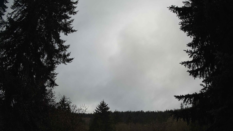 Pacific Northwest skyline timelapse frame from Nov 20th, 2025 at 8:45 AM