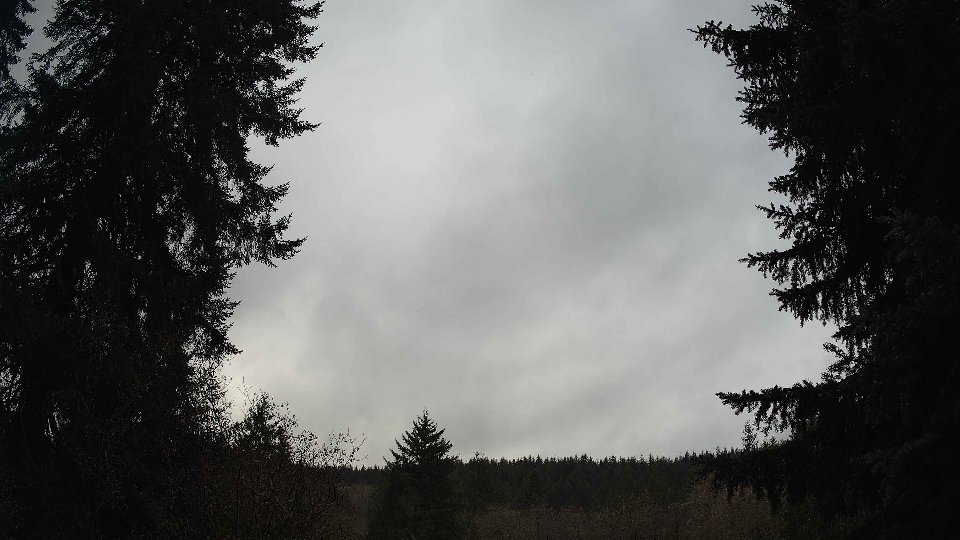 Pacific Northwest skyline timelapse frame from Nov 20th, 2025 at 9:15 AM