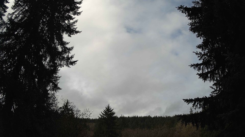 Pacific Northwest skyline timelapse frame from Nov 20th, 2025 at 10:00 AM