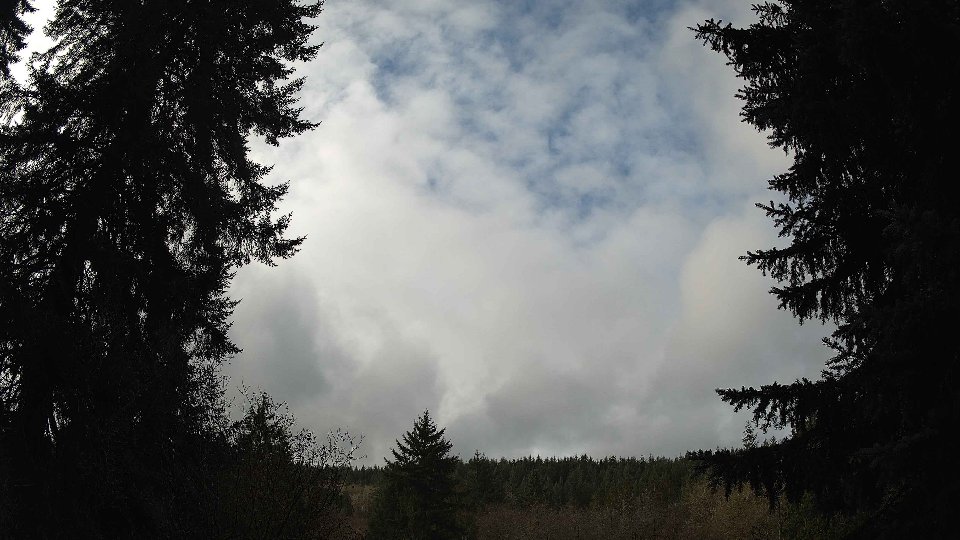 Pacific Northwest skyline timelapse frame from Nov 20th, 2025 at 10:15 AM