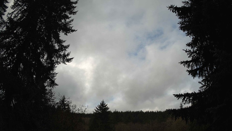 Pacific Northwest skyline timelapse frame from Nov 20th, 2025 at 10:30 AM