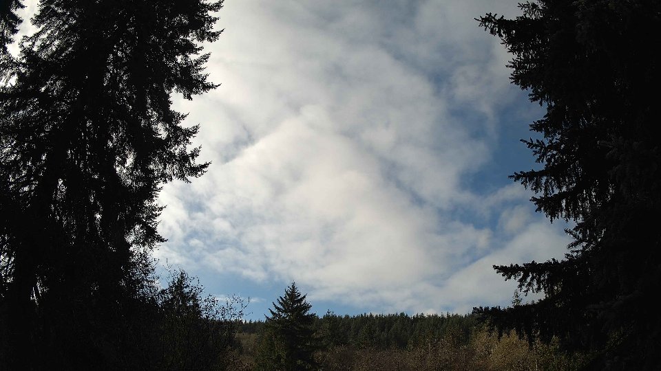 Pacific Northwest skyline timelapse frame from Nov 20th, 2025 at 11:00 AM