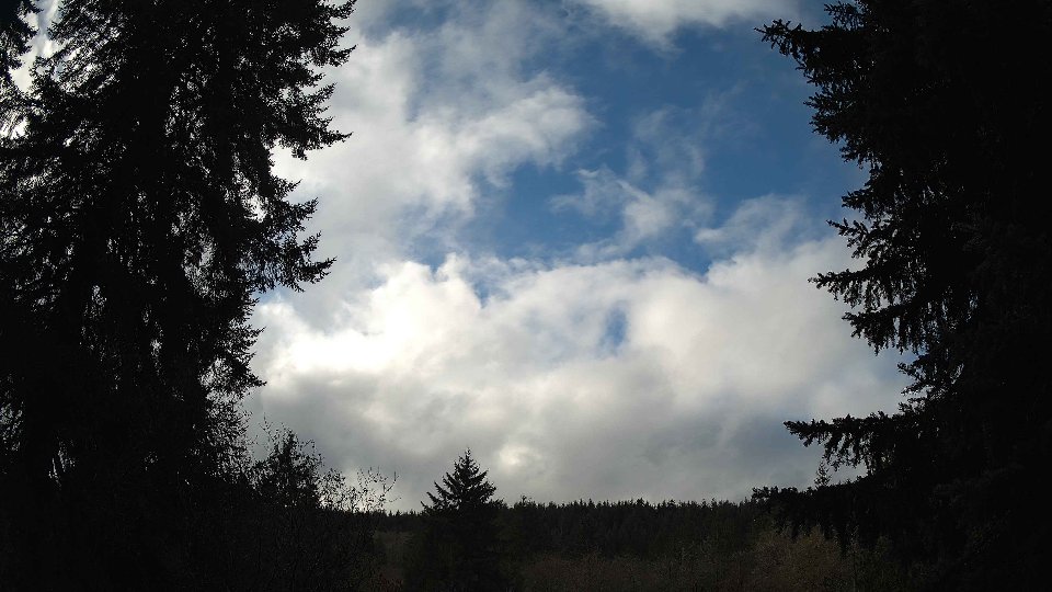 Pacific Northwest skyline timelapse frame from Nov 20th, 2025 at 11:15 AM