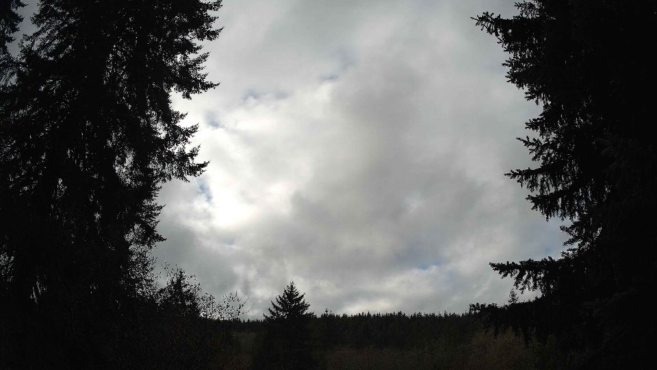 Pacific Northwest skyline timelapse frame from Nov 20th, 2025 at 11:30 AM