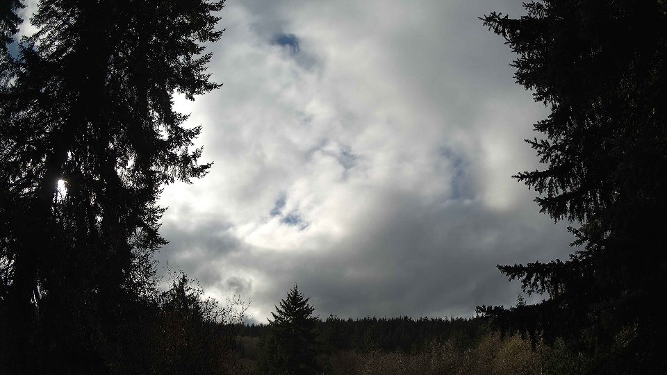 Pacific Northwest skyline timelapse frame from Nov 20th, 2025 at 12:30 PM