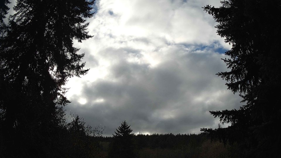 Pacific Northwest skyline timelapse frame from Nov 20th, 2025 at 1:15 PM