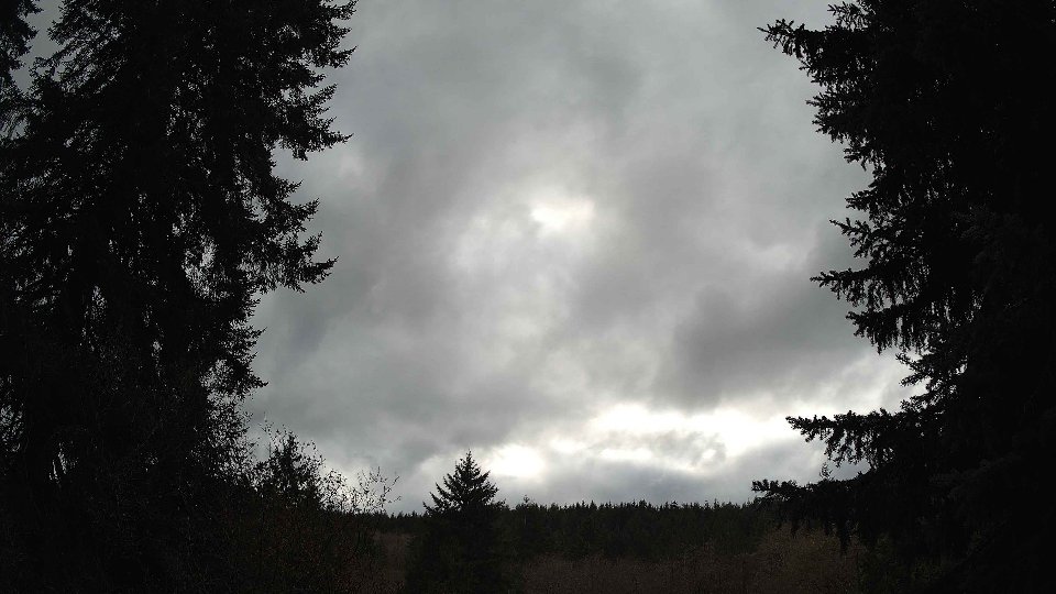Pacific Northwest skyline timelapse frame from Nov 20th, 2025 at 1:30 PM