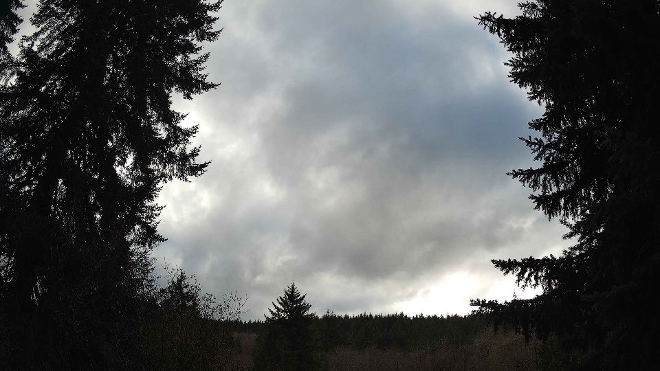 Pacific Northwest skyline timelapse frame from Nov 20th, 2025 at 2:30 PM