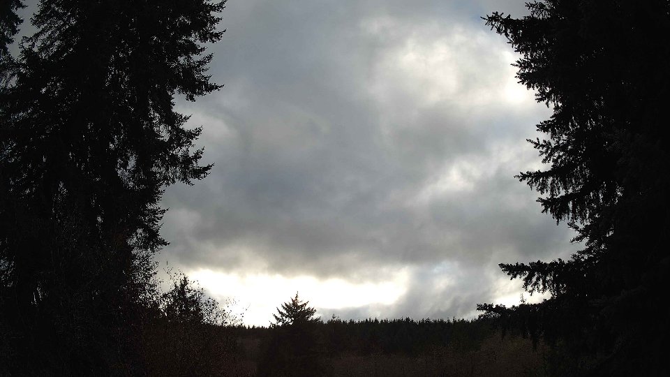 Pacific Northwest skyline timelapse frame from Nov 20th, 2025 at 3:00 PM