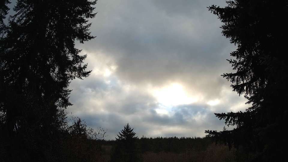 Pacific Northwest skyline timelapse frame from Nov 20th, 2025 at 3:15 PM