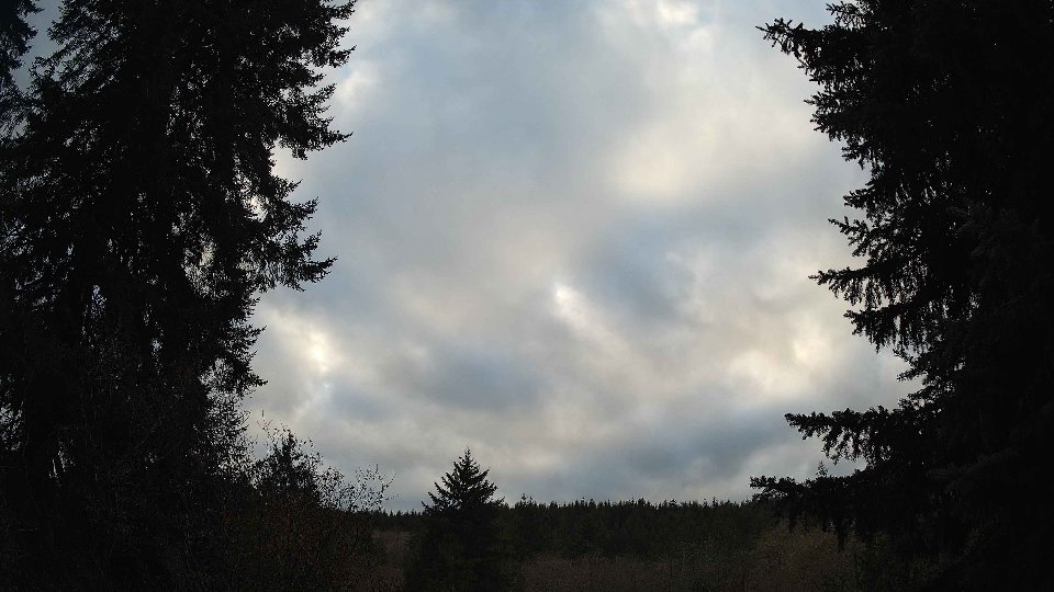 Pacific Northwest skyline timelapse frame from Nov 20th, 2025 at 3:30 PM
