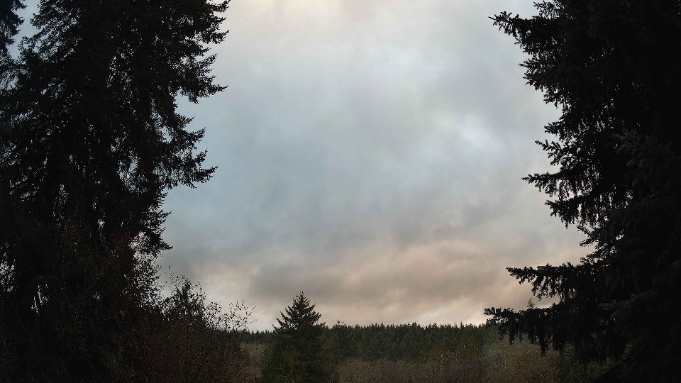 Pacific Northwest skyline timelapse frame from Nov 20th, 2025 at 4:00 PM