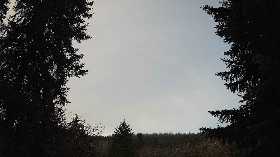 Pacific Northwest skyline timelapse frame from Nov 21st, 2025 at 8:00 AM