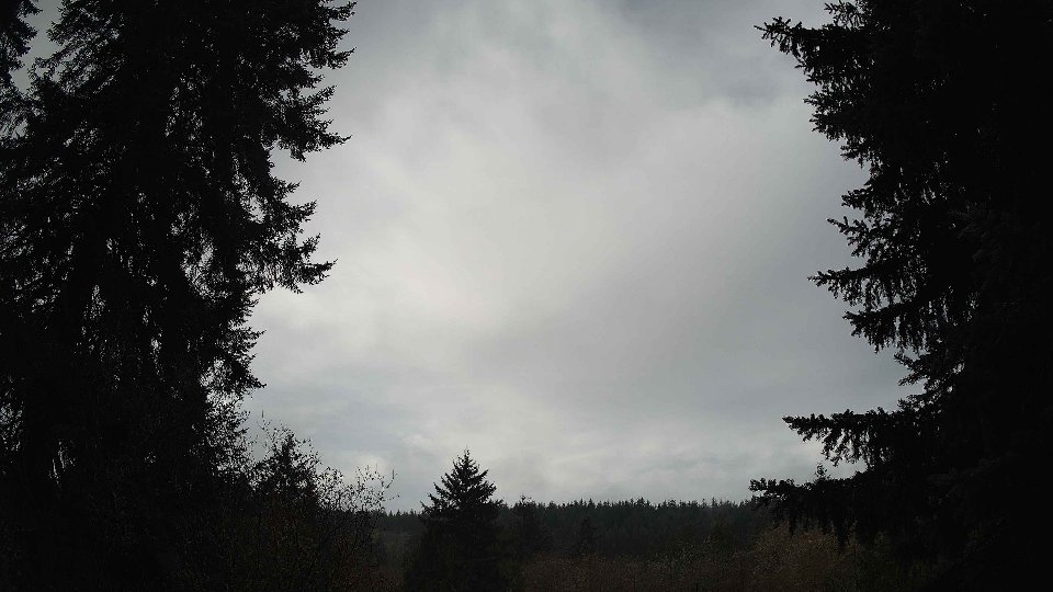 Pacific Northwest skyline timelapse frame from Nov 21st, 2025 at 10:30 AM