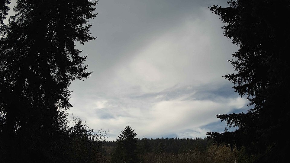 Pacific Northwest skyline timelapse frame from Nov 21st, 2025 at 10:45 AM
