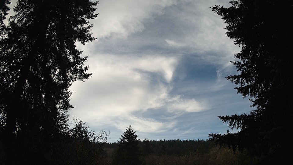 Pacific Northwest skyline timelapse frame from Nov 21st, 2025 at 11:00 AM