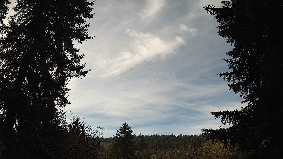 Pacific Northwest skyline timelapse frame from Nov 21st, 2025 at 11:30 AM
