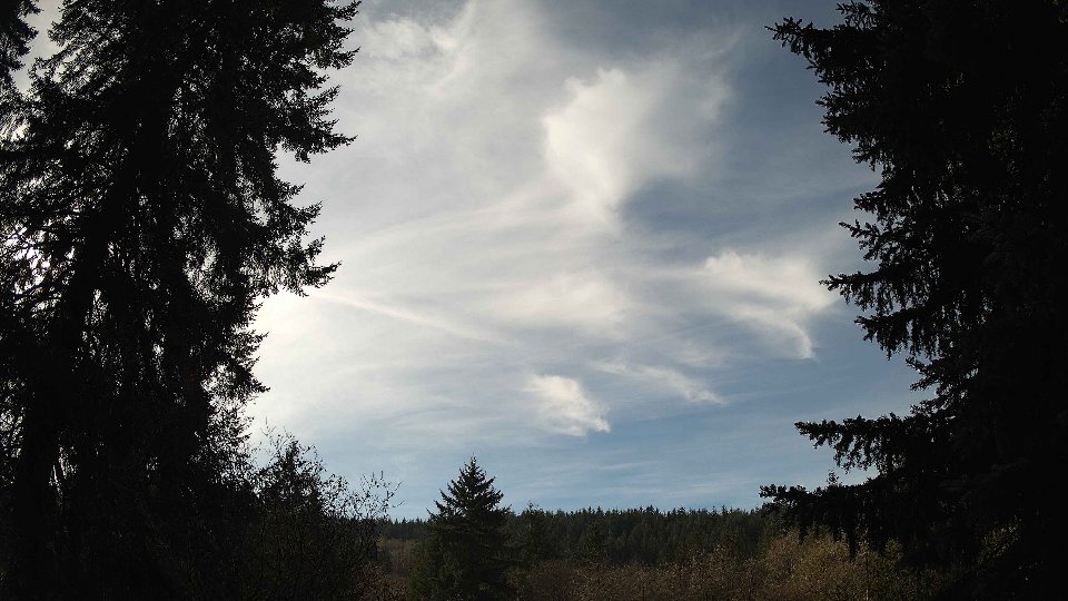 Pacific Northwest skyline timelapse frame from Nov 21st, 2025 at 12:00 PM