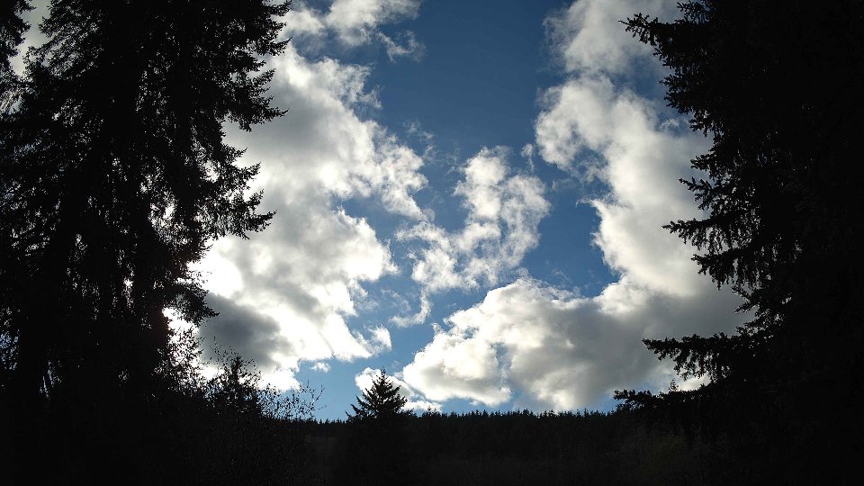 Pacific Northwest skyline timelapse frame from Nov 21st, 2025 at 1:30 PM