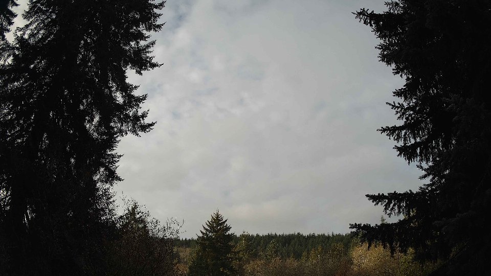 Pacific Northwest skyline timelapse frame from Nov 22nd, 2025 at 8:15 AM