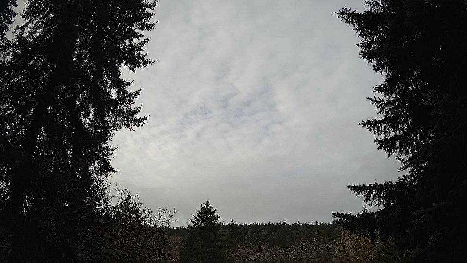 Pacific Northwest skyline timelapse frame from Nov 22nd, 2025 at 8:30 AM