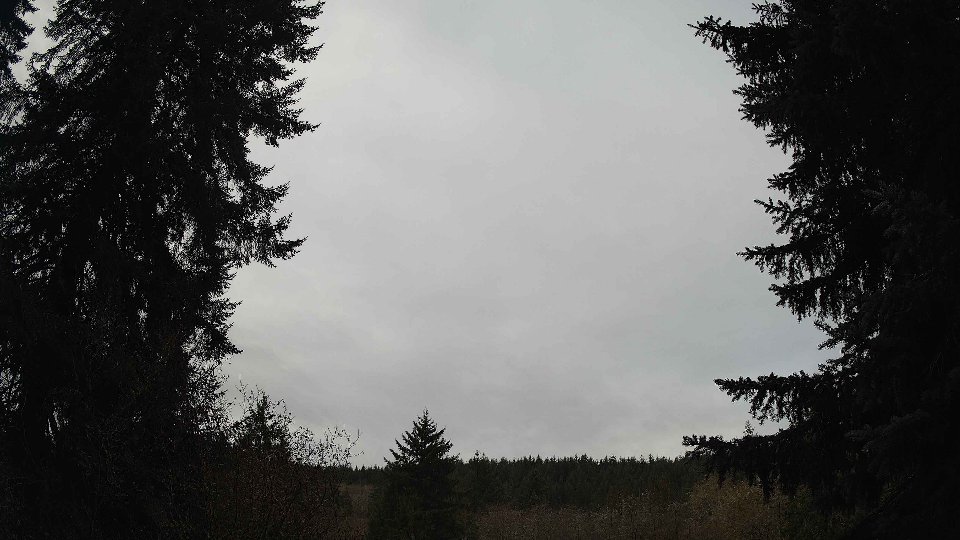 Pacific Northwest skyline timelapse frame from Nov 22nd, 2025 at 9:00 AM
