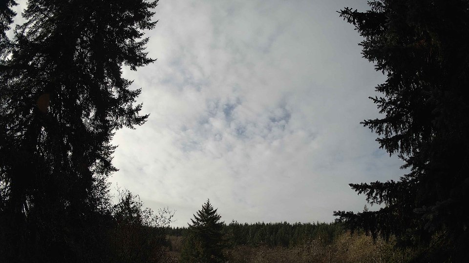 Pacific Northwest skyline timelapse frame from Nov 22nd, 2025 at 10:15 AM