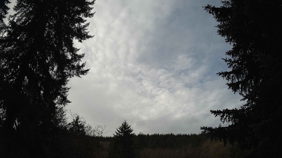 Pacific Northwest skyline timelapse frame from Nov 22nd, 2025 at 10:30 AM